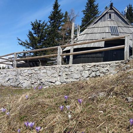 Chalet Resa - Velika Planina Stahovica المظهر الخارجي الصورة