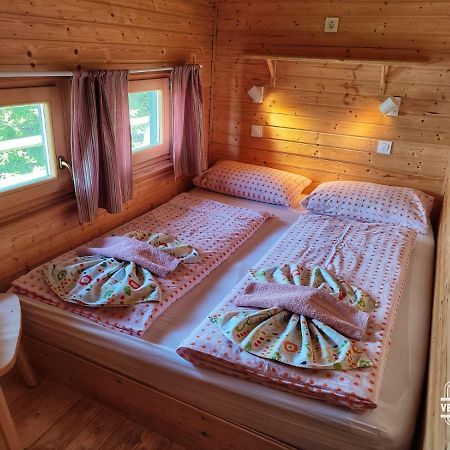 Chalet Resa - Velika Planina Stahovica المظهر الخارجي الصورة