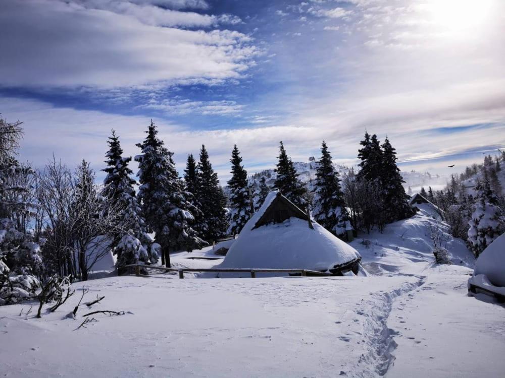 Chalet Resa - Velika Planina Stahovica المظهر الخارجي الصورة