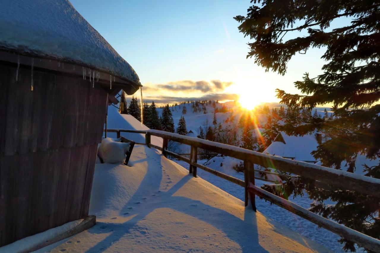 Chalet Resa - Velika Planina Stahovica المظهر الخارجي الصورة