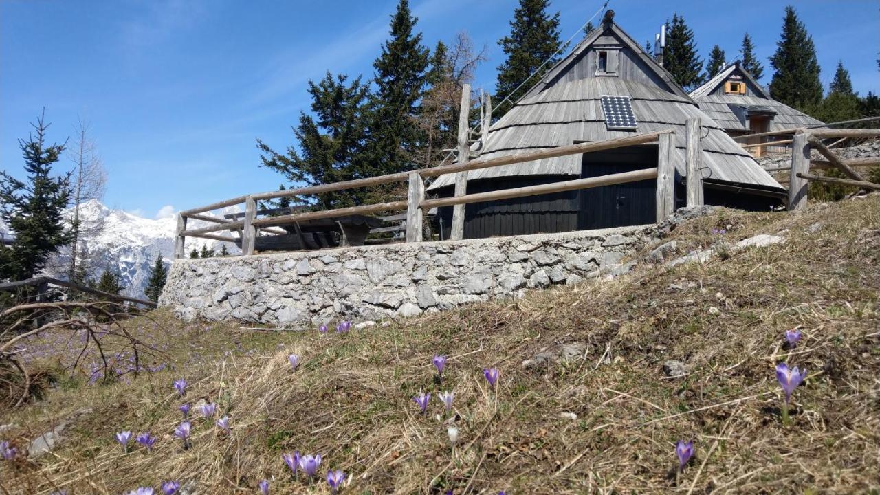 Chalet Resa - Velika Planina Stahovica المظهر الخارجي الصورة