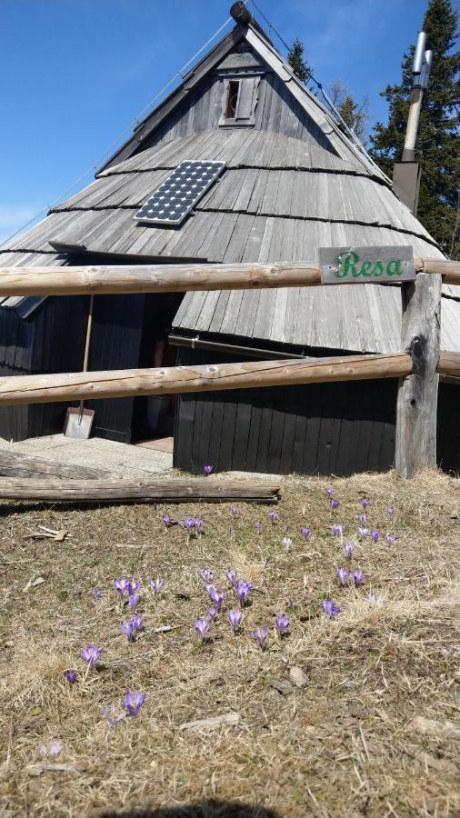 Chalet Resa - Velika Planina Stahovica المظهر الخارجي الصورة
