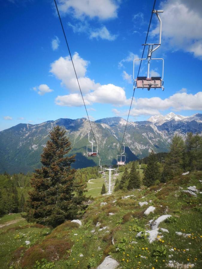 Chalet Resa - Velika Planina Stahovica المظهر الخارجي الصورة