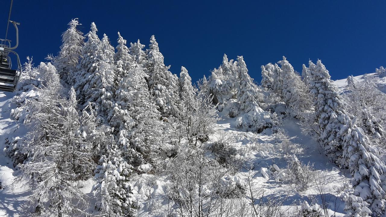 Chalet Resa - Velika Planina Stahovica المظهر الخارجي الصورة